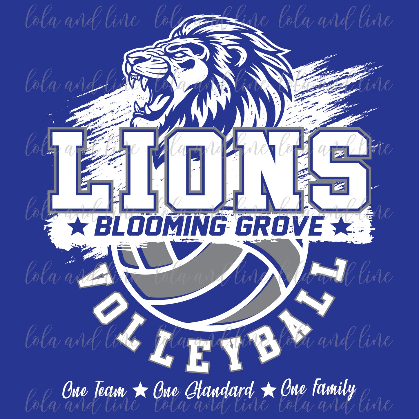 BG Volleyball